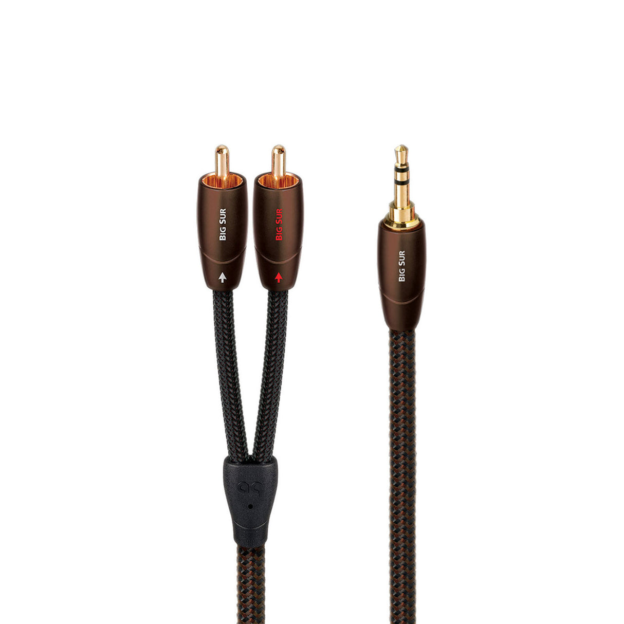 Audio Advisor