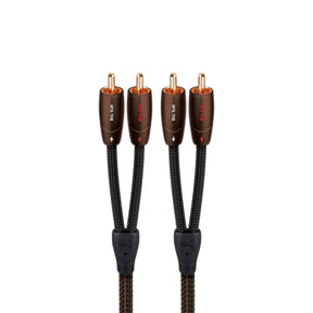 Audio Advisor