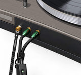 Audio Advisor