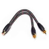 Audio Advisor