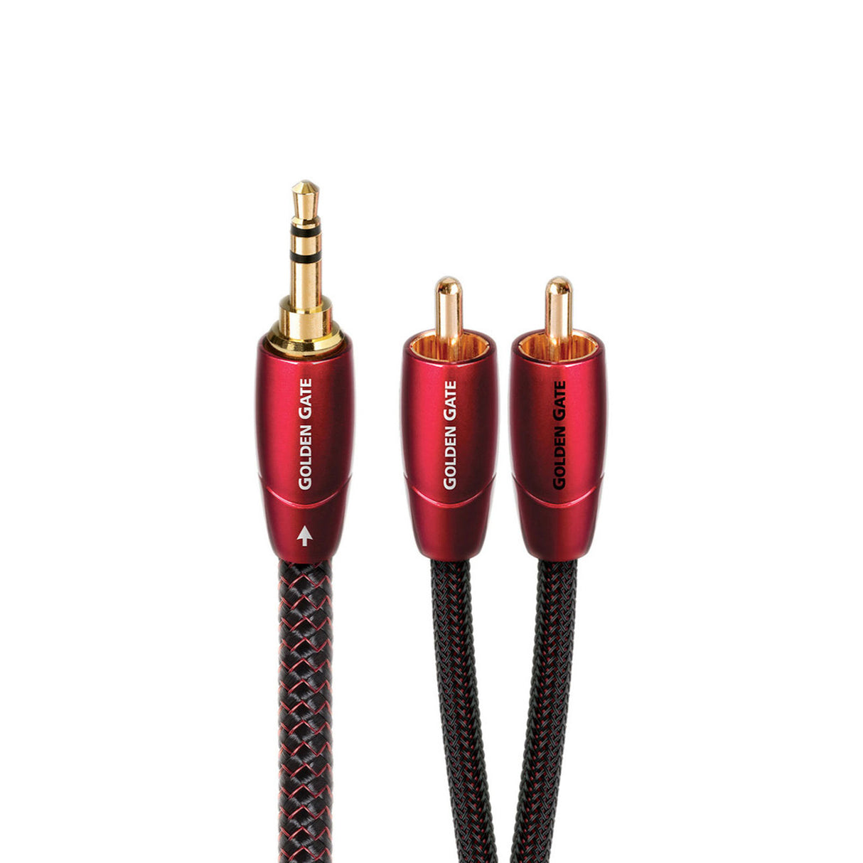 Audio Advisor