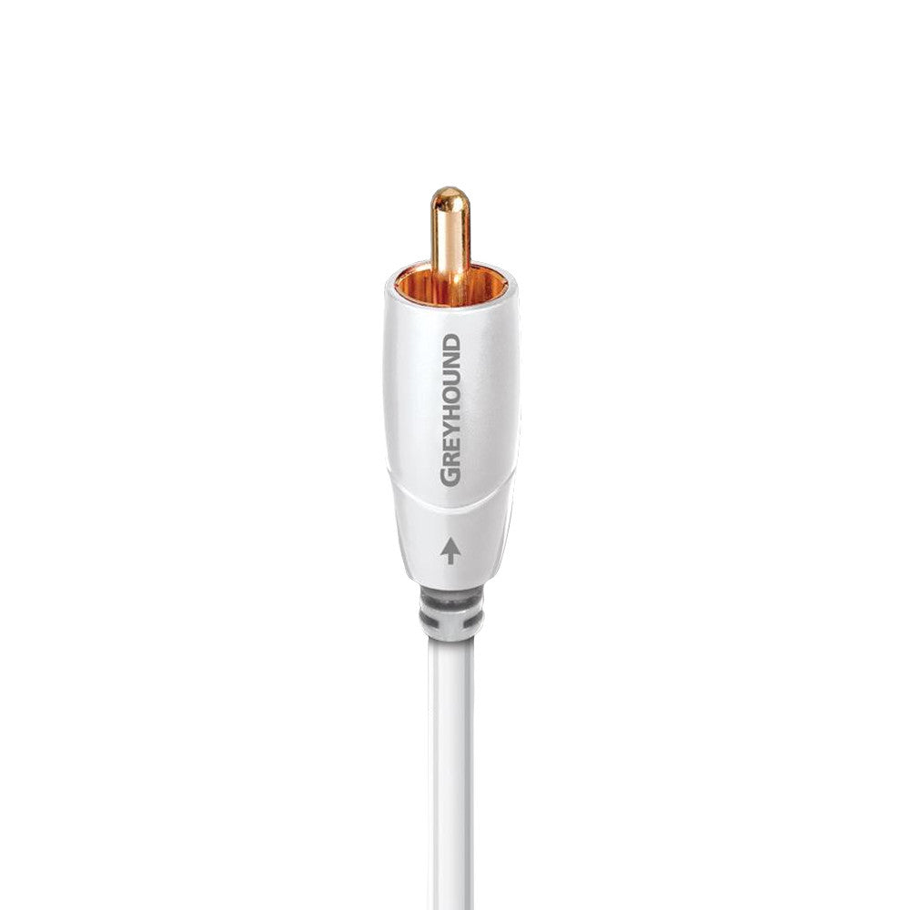 Audio Advisor
