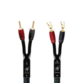 Audio Advisor