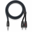 Audio Advisor