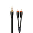Audio Advisor