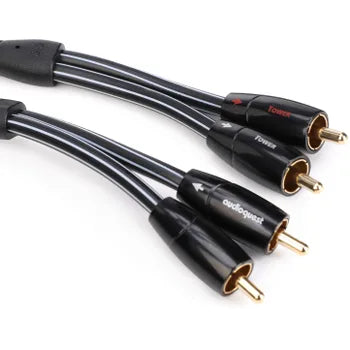 Audio Advisor