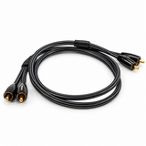 Audio Advisor