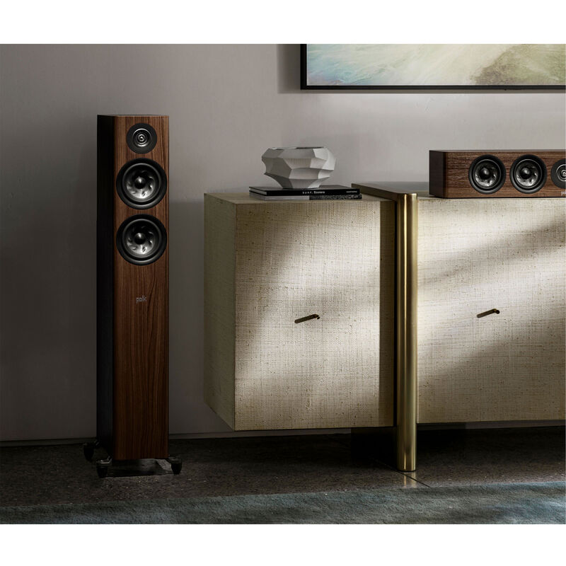 Audio Advisor