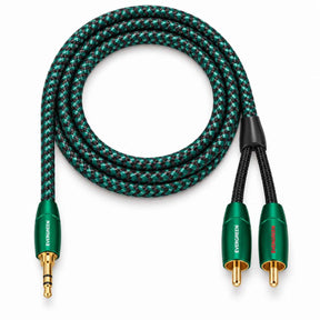 Audio Advisor