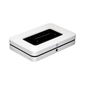 Audio Advisor