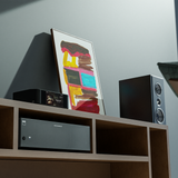 Audio Advisor