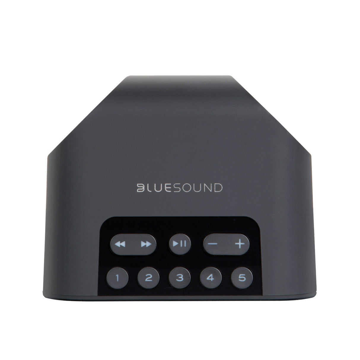 Audio Advisor