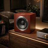 Audio Advisor