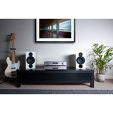 Audio Advisor