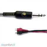Audio Advisor