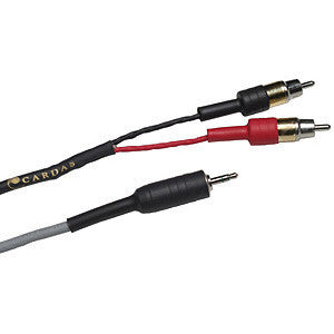 Audio Advisor