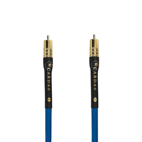 Audio Advisor