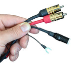 Audio Advisor