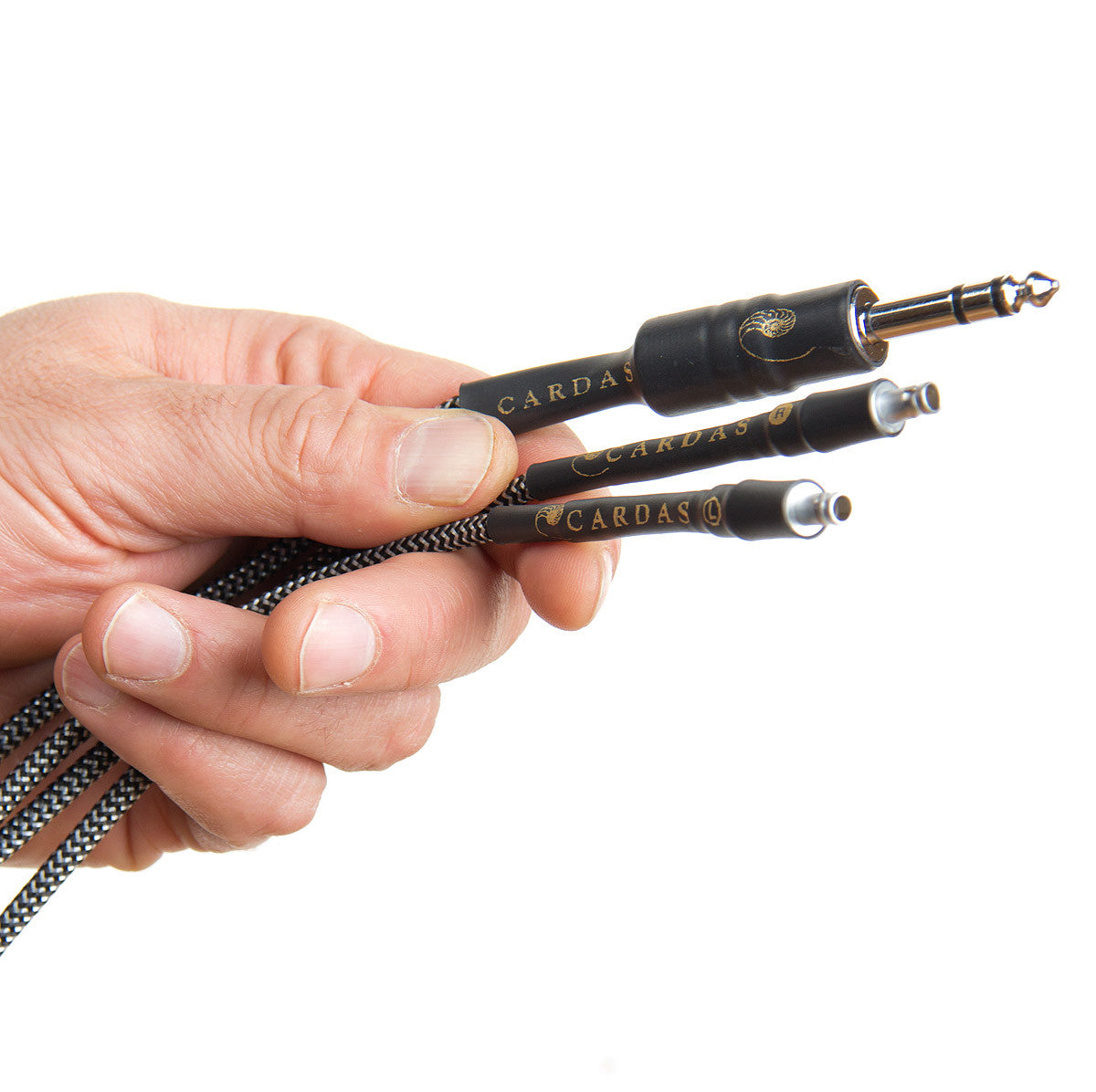 Audio Advisor