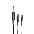 Audio Advisor