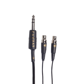 Audio Advisor