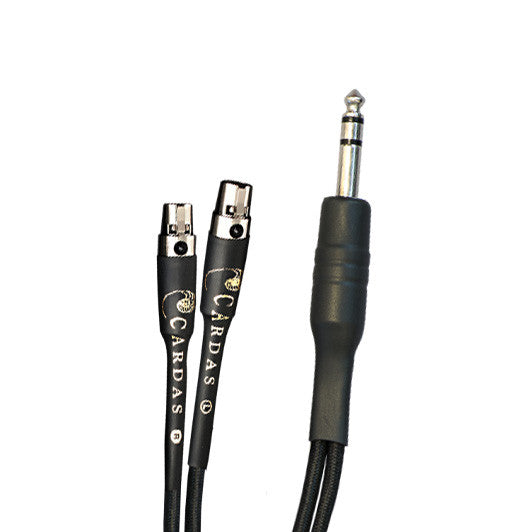 Audio Advisor