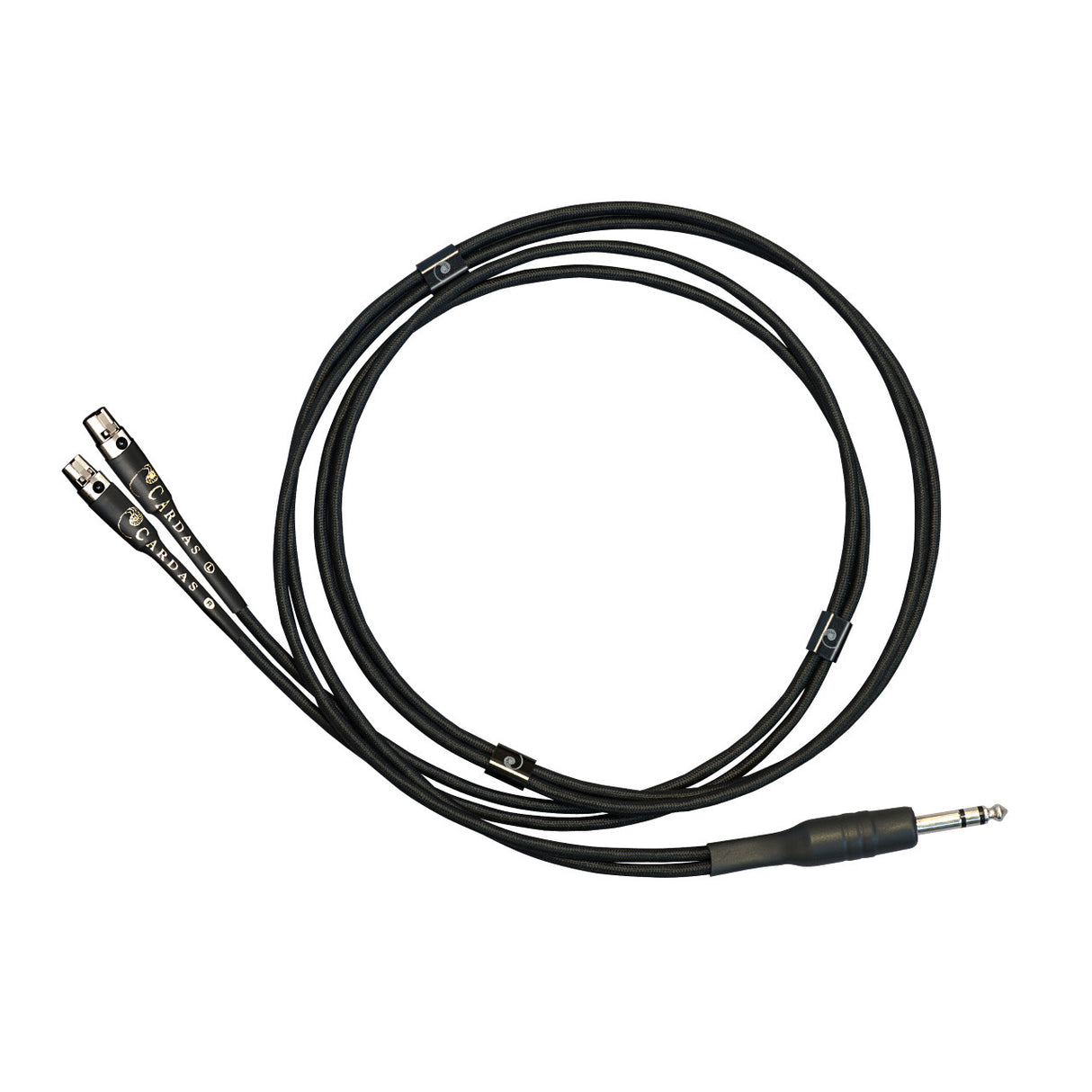 Audio Advisor
