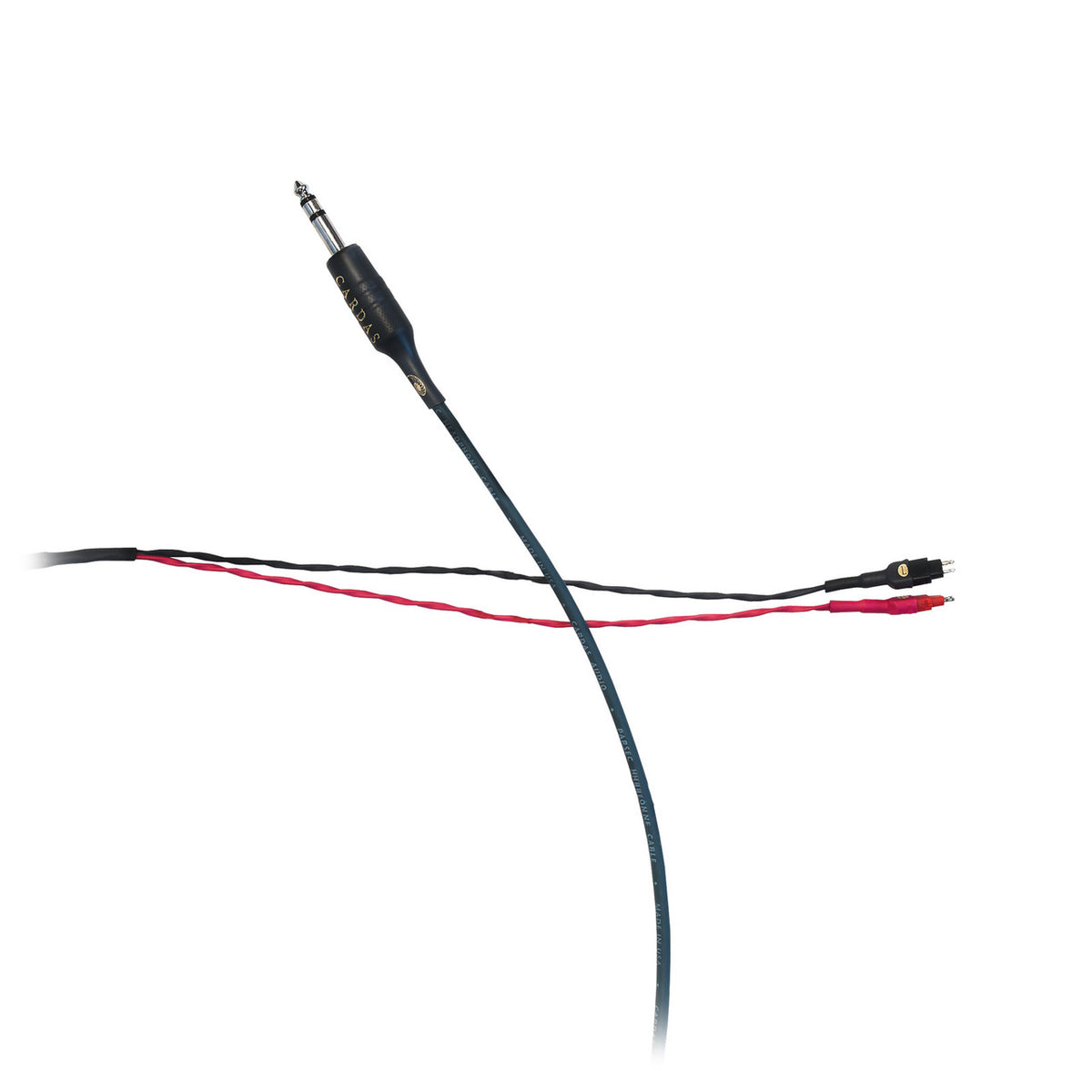 Audio Advisor