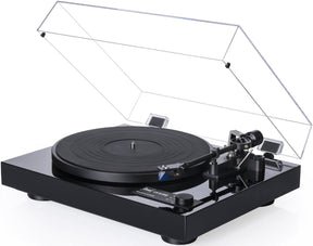 Audio Advisor