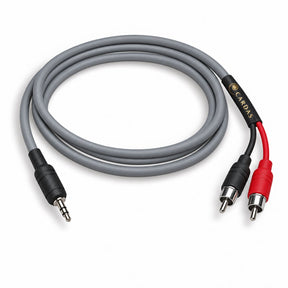 Audio Advisor