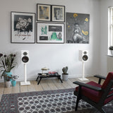 Audio Advisor
