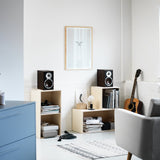 Audio Advisor