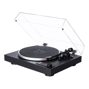 Audio Advisor