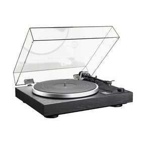 Audio Advisor