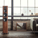Audio Advisor