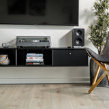Audio Advisor