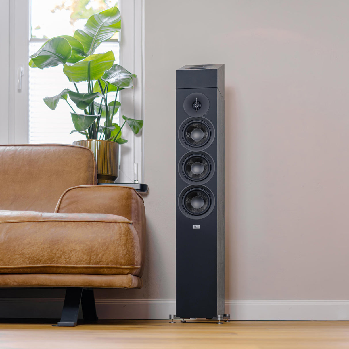 Audio Advisor