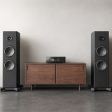 Audio Advisor