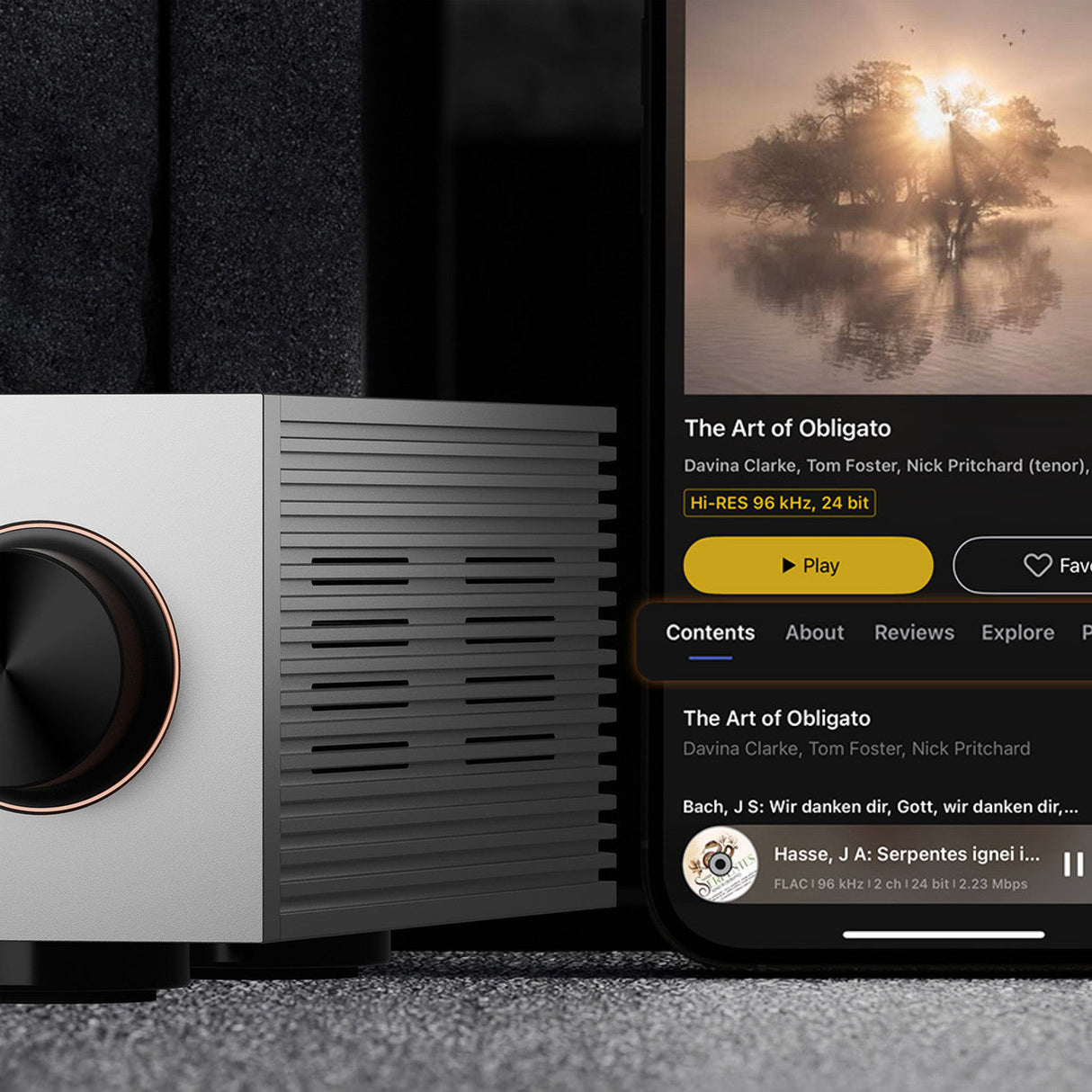 Audio Advisor