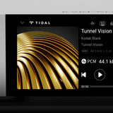 Audio Advisor
