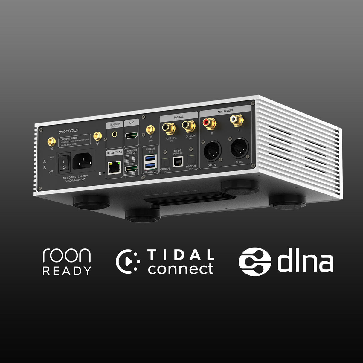 Audio Advisor