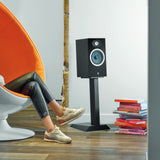 Audio Advisor