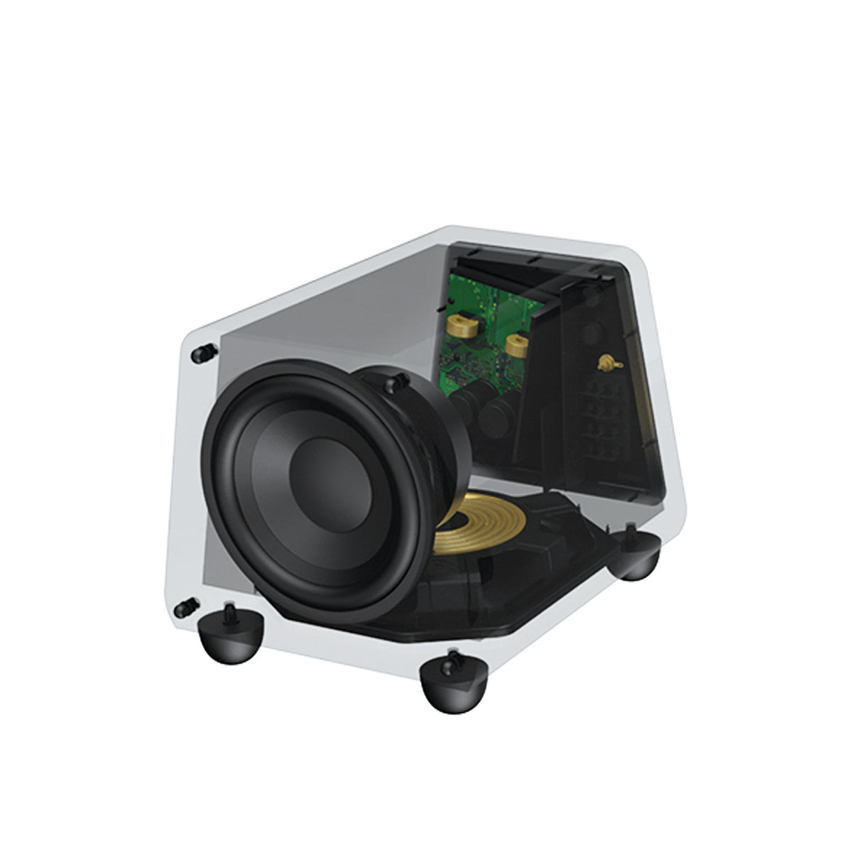 Audio Advisor