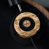 Audio Advisor