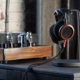 Audio Advisor