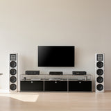 Audio Advisor
