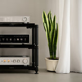 Audio Advisor