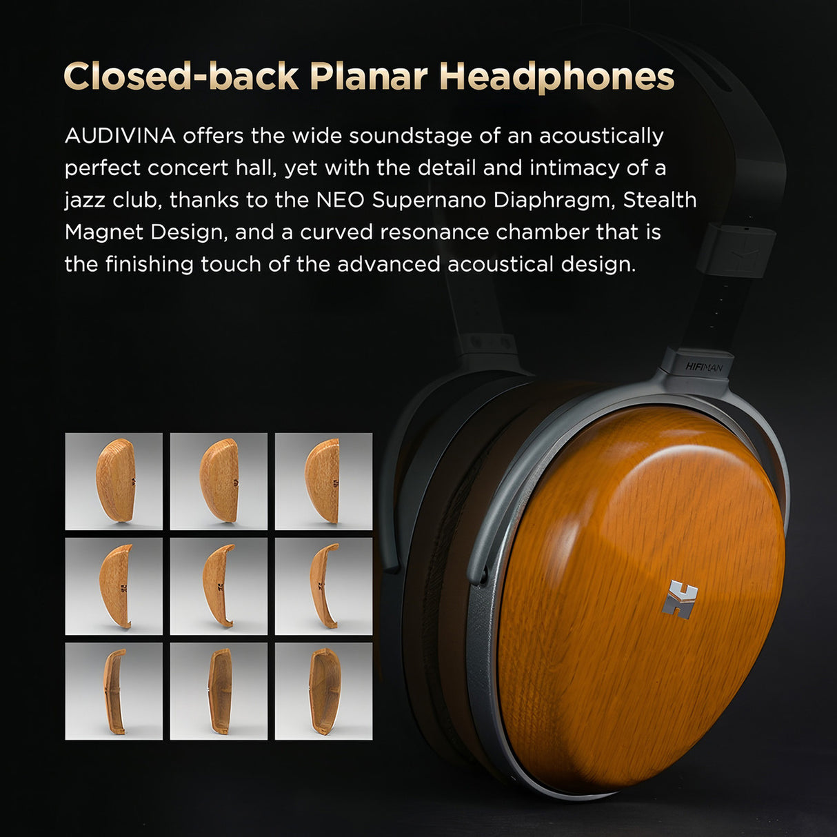 Audio Advisor