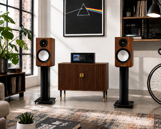 Audio Advisor