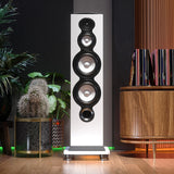 Audio Advisor